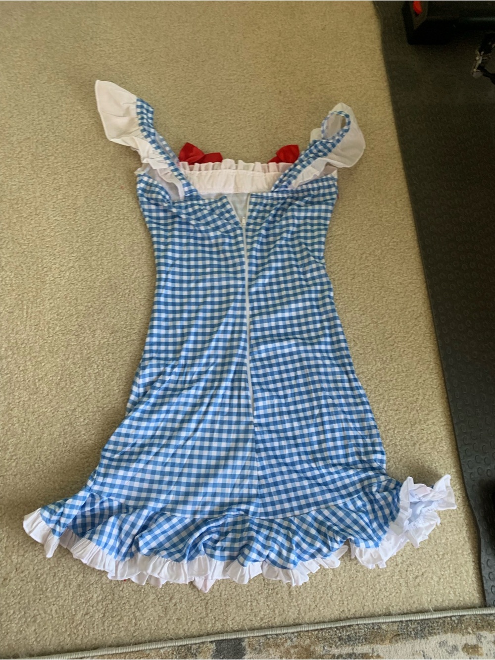 Leg Avenue Blue Gingham Dorothy Dress with Red Bows - size Small - Picture 4 of 5